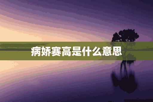 病娇赛高是什么意思(病娇赛罗cp原创女主)